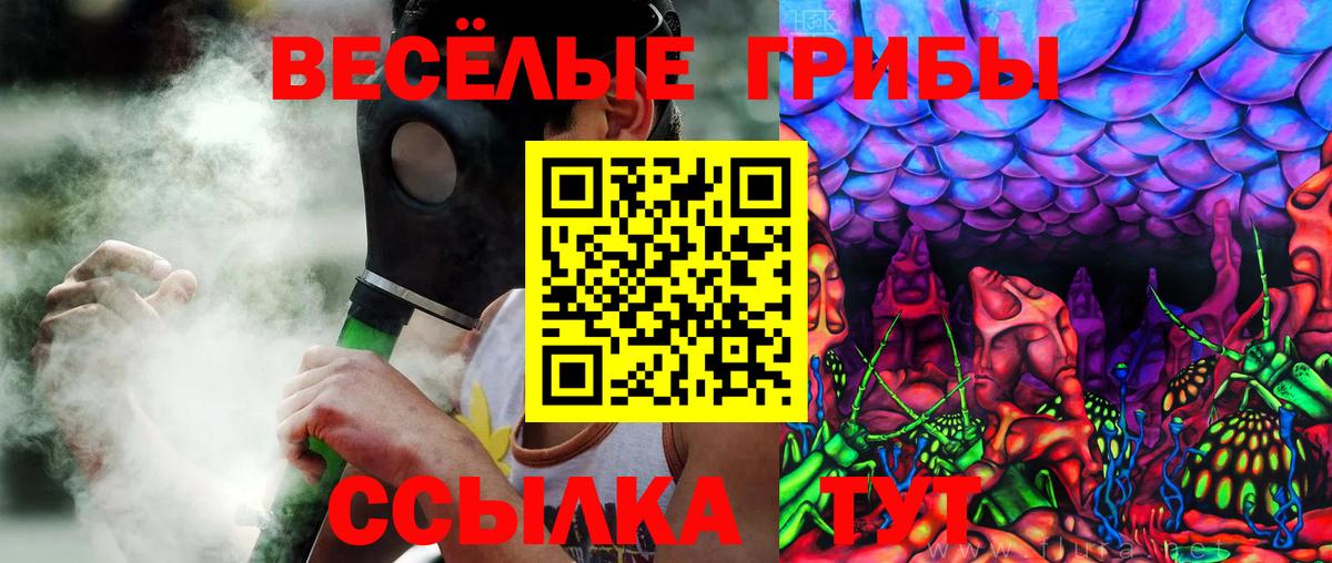 Псилоцибиновые грибы Psilocybine cubensis Янаул