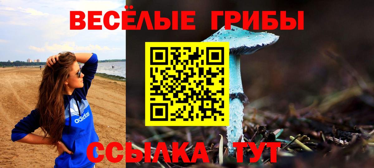 Галлюциногенные грибы Cubensis  Вход с VPN  Галлюциногенные грибы Magic Shrooms  Янаул 